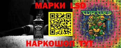 кокс Бердск