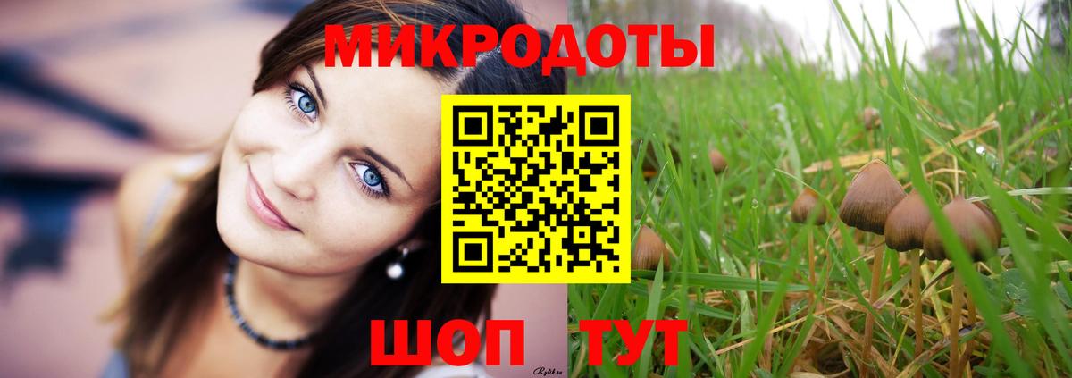 Галлюциногенные грибы MAGIC MUSHROOMS  Вход с VPN  Ачинск 